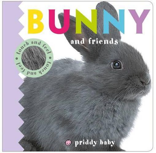 Cover image for Bunny and Friends