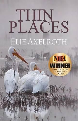 Cover image for Thin Places