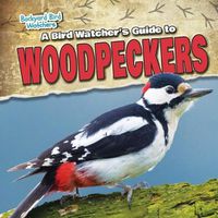 Cover image for A Bird Watcher's Guide to Woodpeckers
