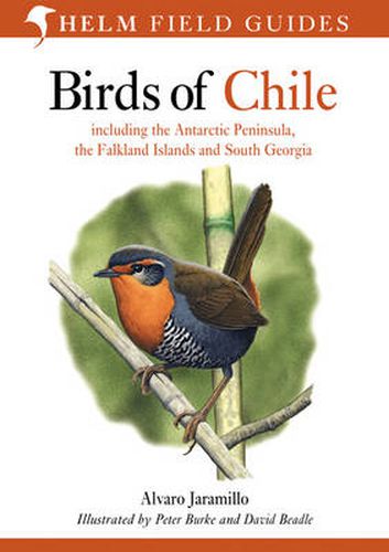 Birds of Chile