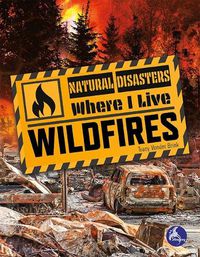 Cover image for Wildfires