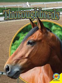 Cover image for Thoroughbreds