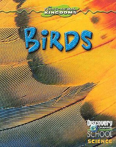 Cover image for Birds