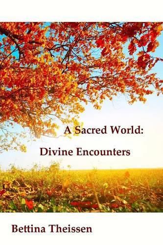 Cover image for A Sacred World: Divine Encounters