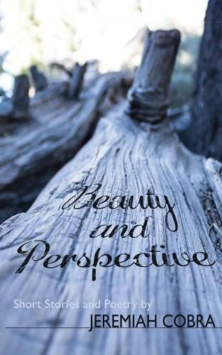 Cover image for Beauty and Perspective