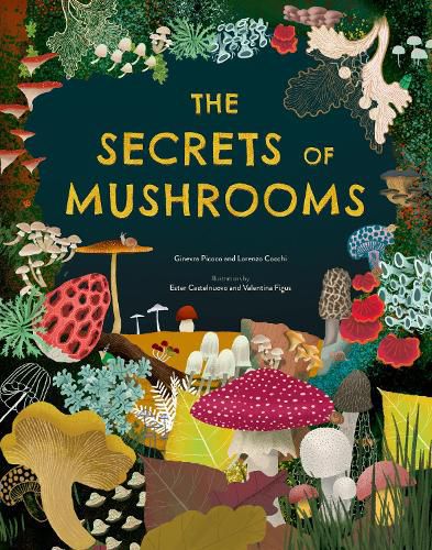 Cover image for The Secrets of Mushrooms