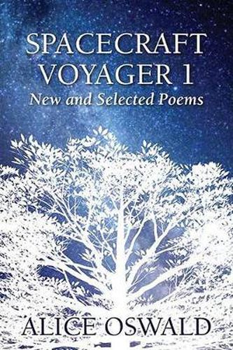 Spacecraftt Voyager 1: New and Selected Poems