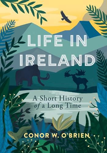 Cover image for Life in Ireland: A Short History of a Long Time