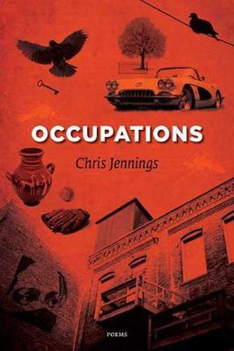 Cover image for Occupations