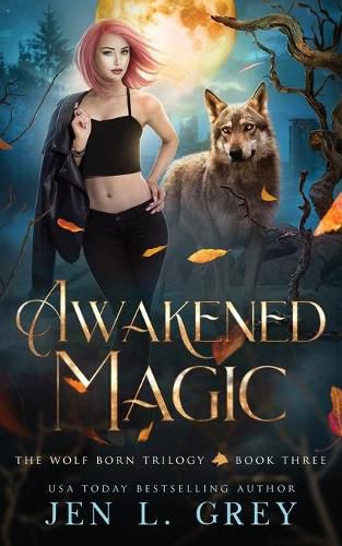 Cover image for Awakened Magic