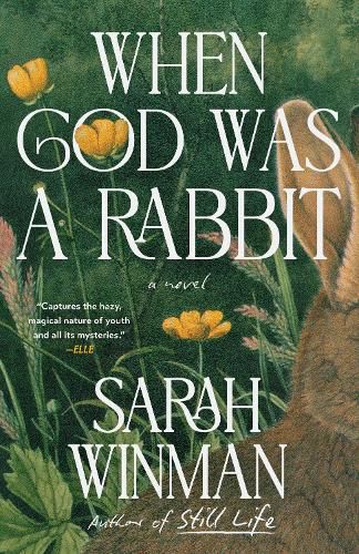 Cover image for When God Was a Rabbit