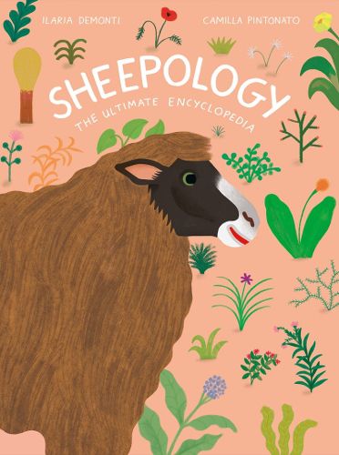 Cover image for Sheepology