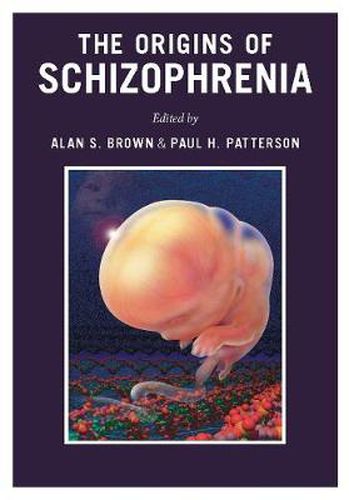 Cover image for The Origins of Schizophrenia