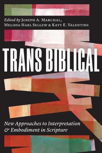 Cover image for Trans Biblical