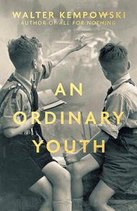 Cover image for An Ordinary Youth