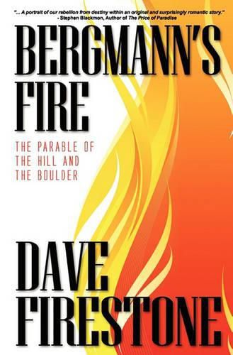 Cover image for Bergmann's Fire: The Parable of the Hill and the Boulder