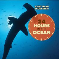 Cover image for 24 Hours in the Ocean