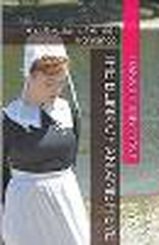 Cover image for Blink of an Amish Eye