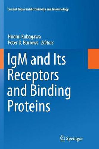 IgM and Its Receptors and Binding Proteins