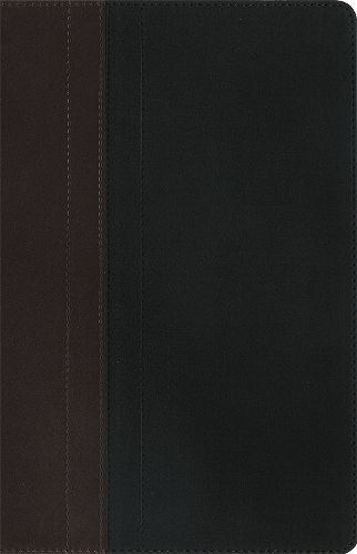 NIV Study Bible Brown/Tan Duo-Tone Personal Size