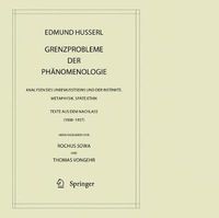 Cover image for Grenzprobleme der Phanomenologie: Analysen des Unbewusstseins und der Instinkte. Metaphysik. Spate Ethik (Texte aus dem Nachlass 1908 - 1937)