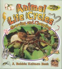 Cover image for Animal Life Cycles: Growing and Changing