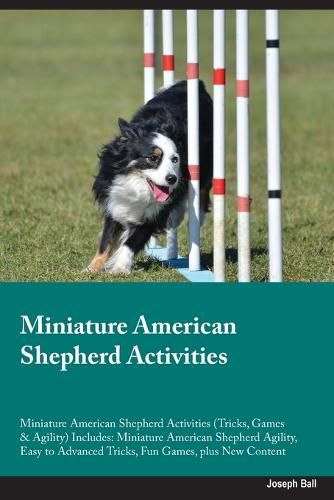 Cover image for Miniature American Shepherd Activities Miniature American Shepherd Activities (Tricks, Games & Agility) Includes