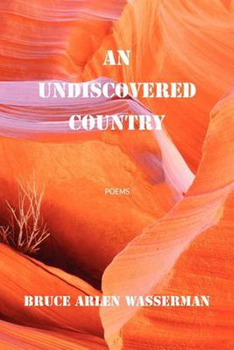 Cover image for An Undiscovered Country