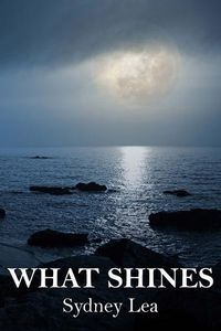 Cover image for What Shines