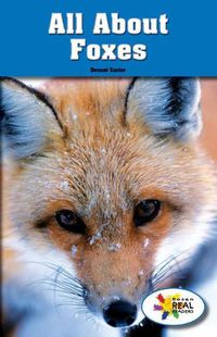 Cover image for All about Foxes