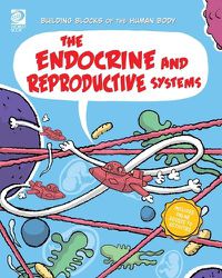 Cover image for The Endocrine and Reproductive Systems