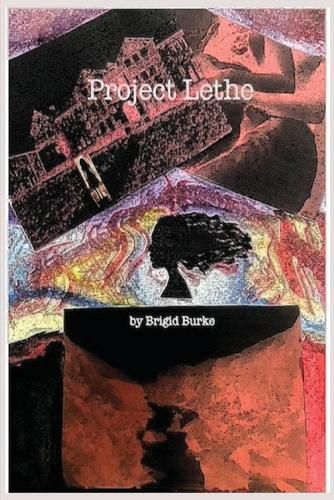 Cover image for Project Lethe