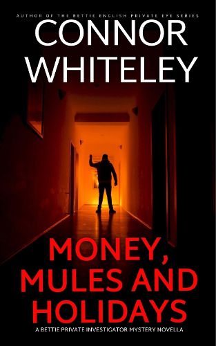 Cover image for Money, Mules and Holidays