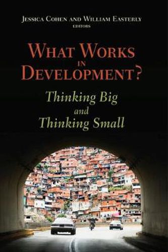 Cover image for What Works in Development? Thinking Big and Thinking Small