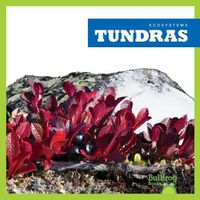 Cover image for Tundras