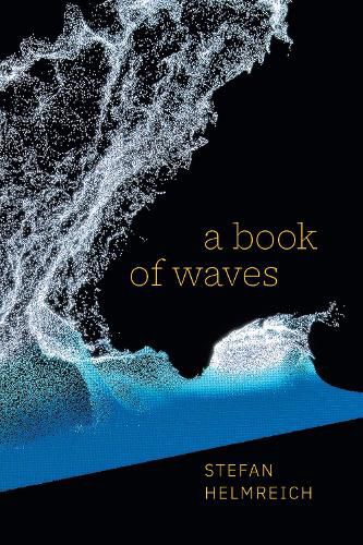 Cover image for A Book of Waves