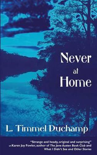 Cover image for Never at Home