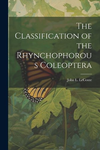 The Classification of the Rhynchophorous Coleoptera