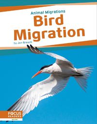 Cover image for Animal Migrations: Bird Migration
