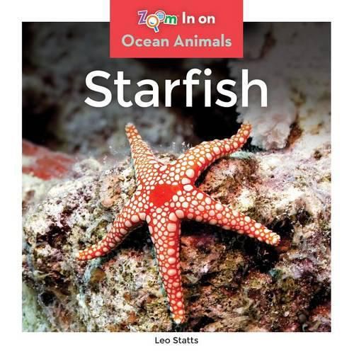 Starfish