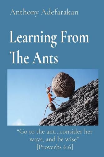 Cover image for Learning From The Ants: Go to the ant...consider her ways, and be wise  [Proverbs 6:6]