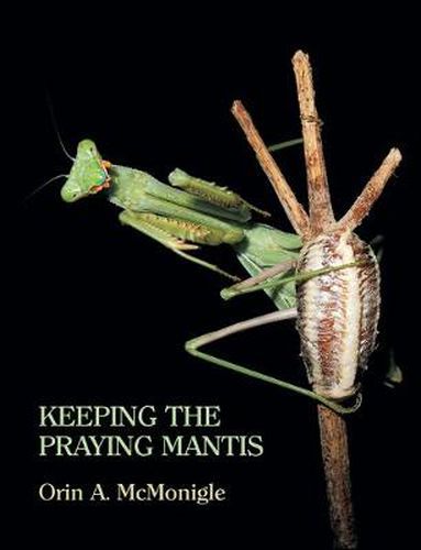 Cover image for Keeping the Praying Mantis: Mantodean Captive Biology, Reproduction, and Husbandry