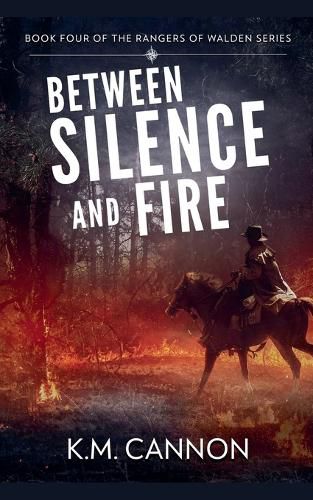 Cover image for Between Silence and Fire