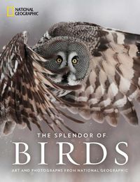 Cover image for The Splendor of Birds: Art and Photography From National Geographic