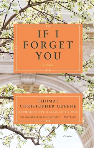 Cover image for If I Forget You