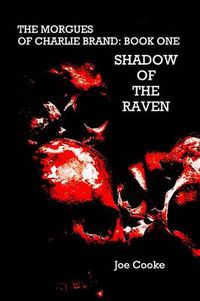 Cover image for Shadow of the Raven
