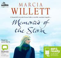 Cover image for Memories of the Storm
