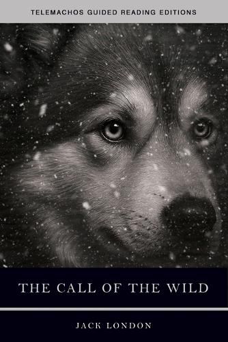 Cover image for The Call of the Wild