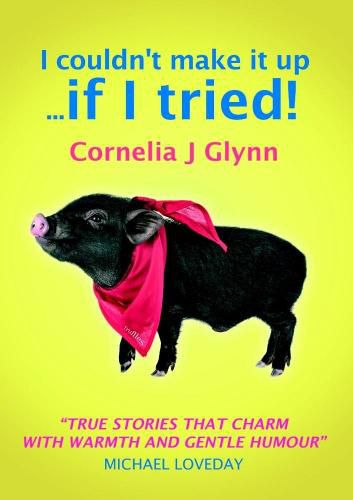Cover image for I couldn't make it up ... if I tried!