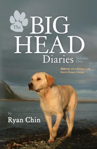Cover image for The Big Head Diaries, Volume 1: Stories of a Yellow Lab from Down Under
